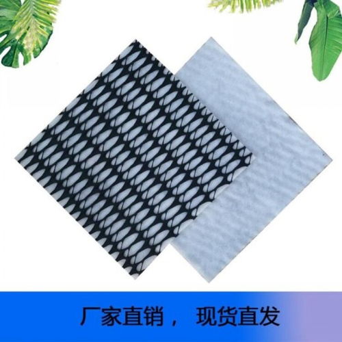 植草護(hù)坡塑料廠家供應(yīng)三維復(fù)合土工排水網(wǎng)墊植草網(wǎng)復(fù)合排水網(wǎng)解析與應(yīng)用