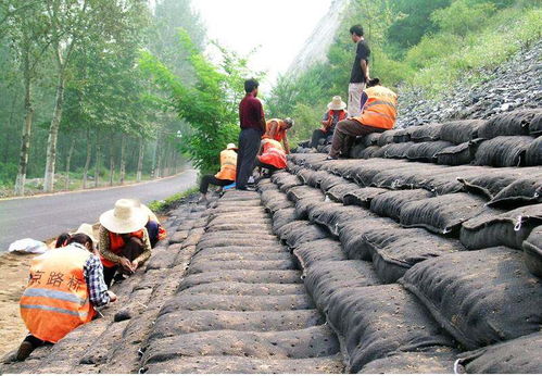 沁陽優(yōu)質(zhì)三維土工網(wǎng)墊廠家 貨源充足，服務(wù)周到