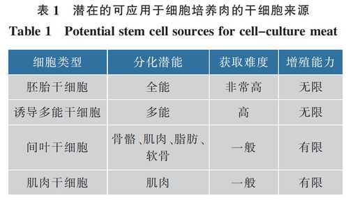 從盤中餐到體內(nèi)藥 細(xì)胞培養(yǎng)技術(shù)的跨界融合與未來展望